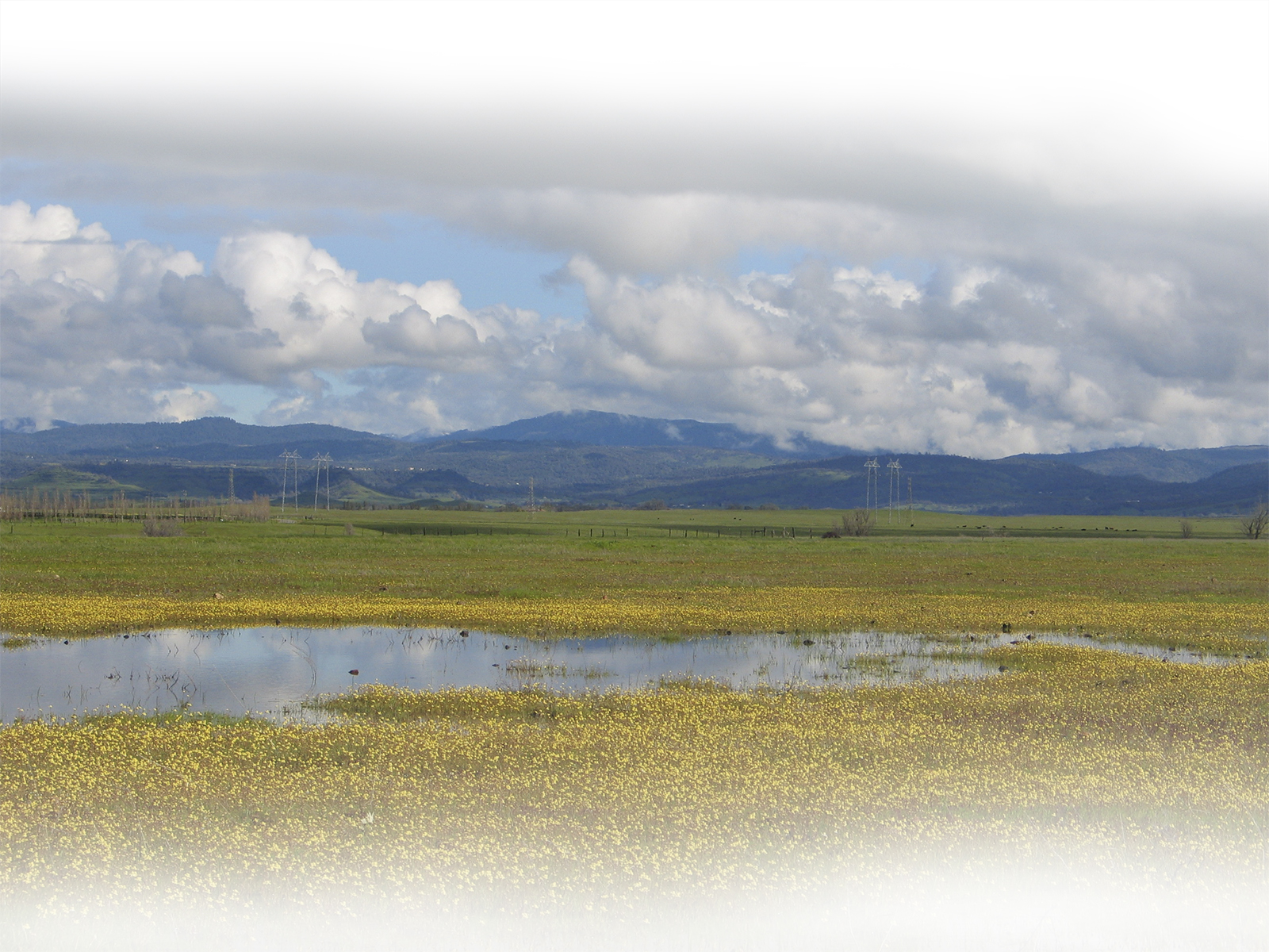 Geography 5 Final Project Central Valley 